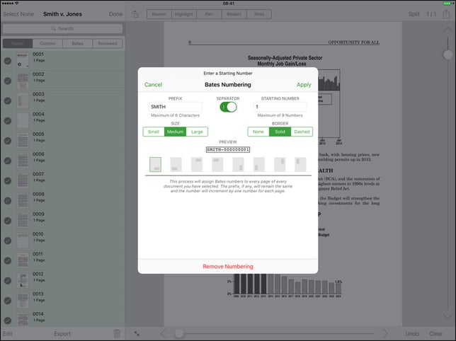 DocReviewPad