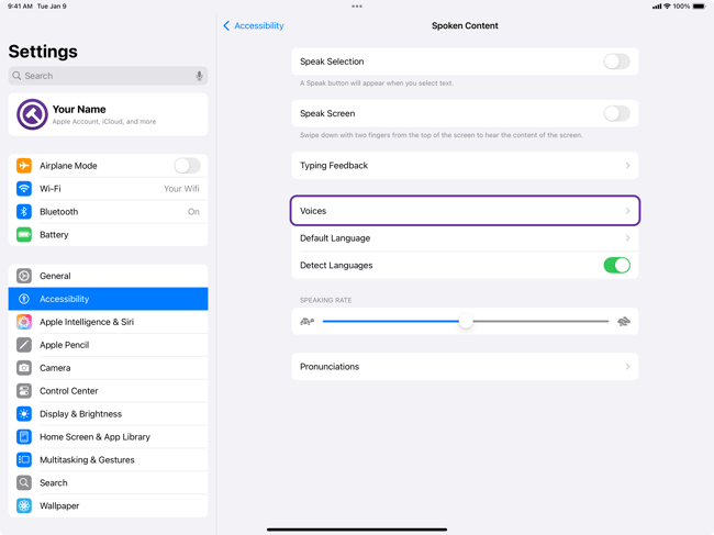 Screenshot of Settings _ Accessibility _ Spoken Content _ Voices-1