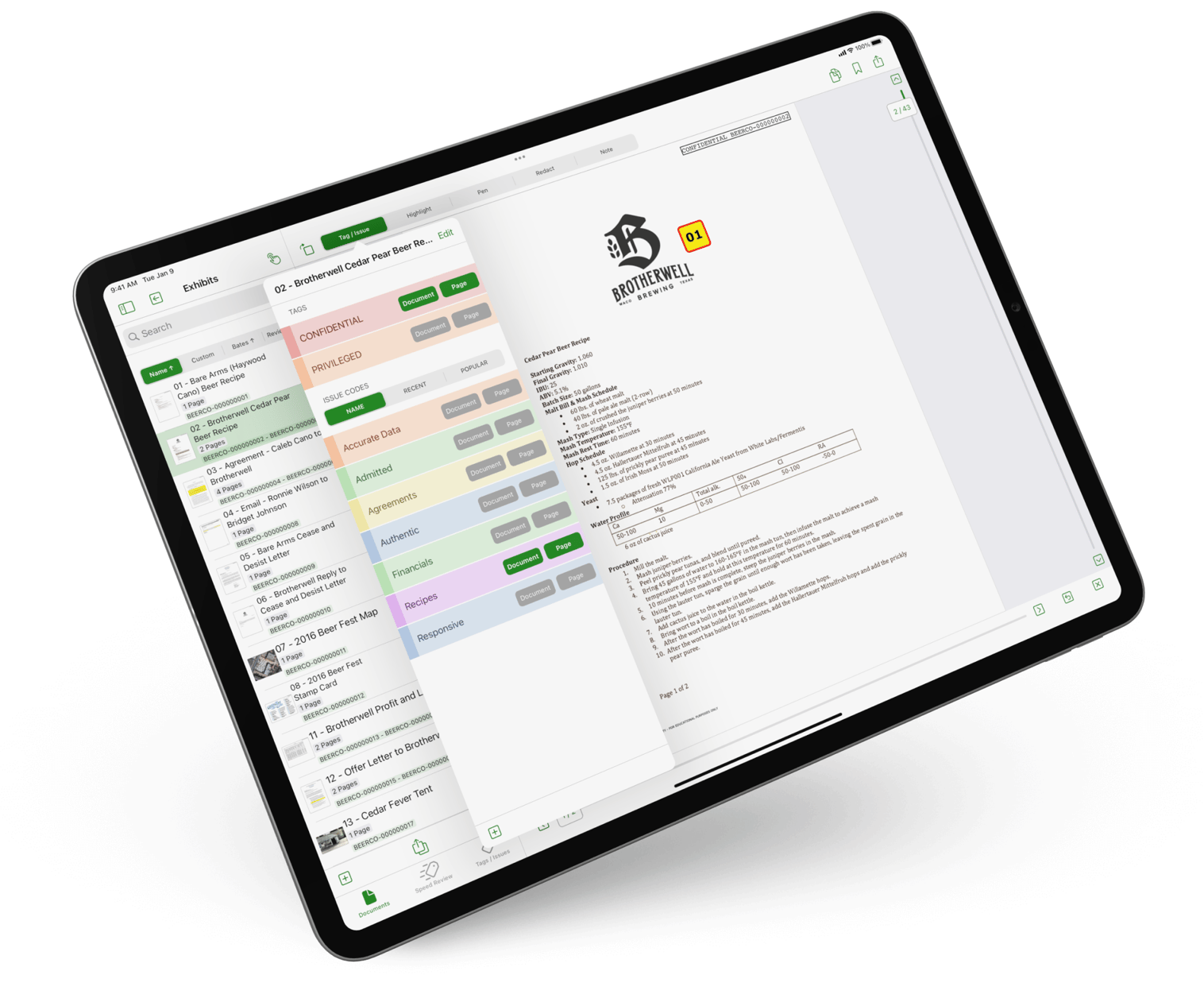 Precision Tagging and Issue Coding